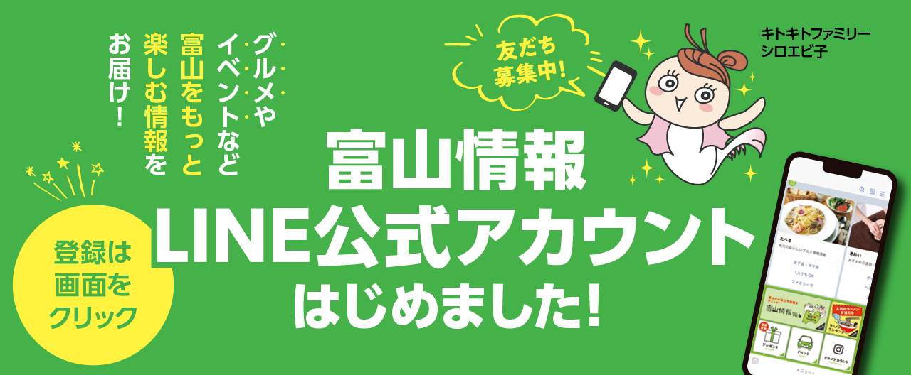 富山ページ ☆(213373)平成20年 シトロエンC4 B5RFJ フロントドア左 その他