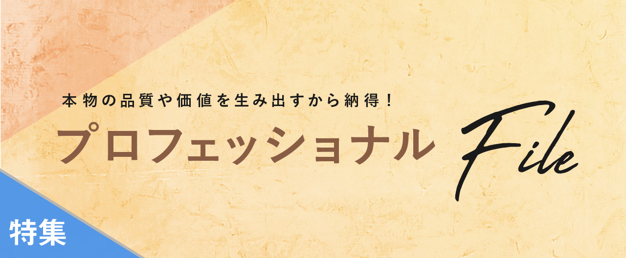 プロフェショナルFile_TJ26-0729