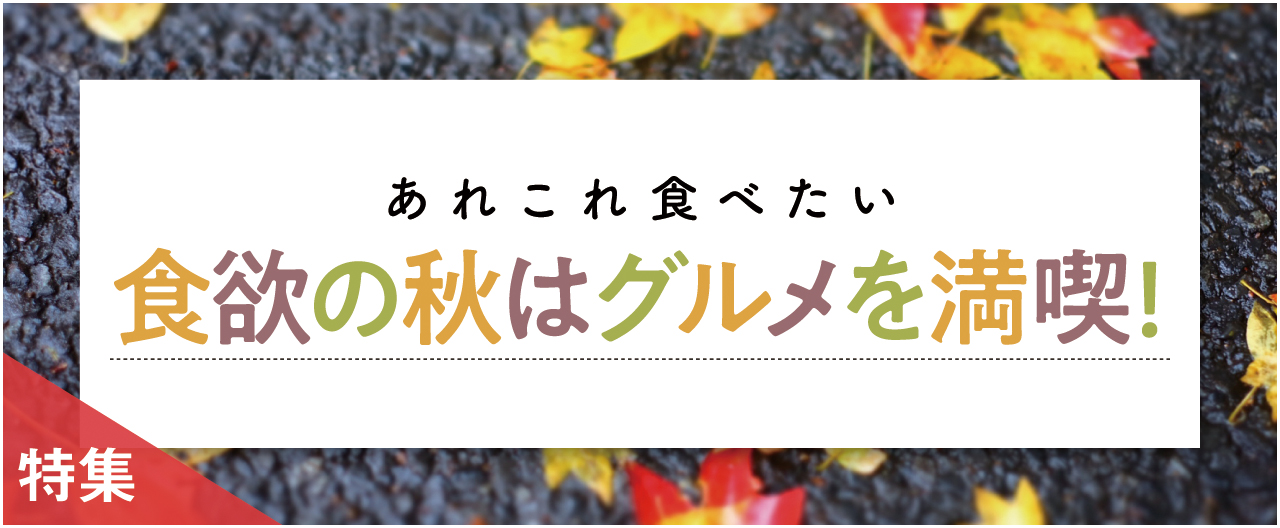 食欲の秋はグルメを満喫!_nj0916