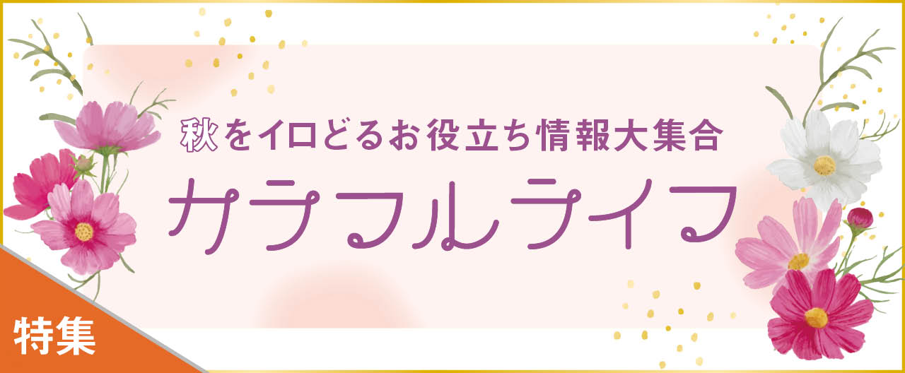 秋をイロどる便利な情報大集合 カラフルライフ_KJ20260916