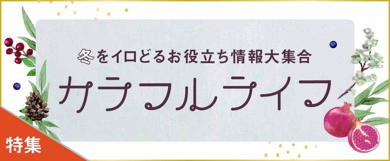 冬をイロどる便利な情報大集合 カラフルライフ_KJ20241127