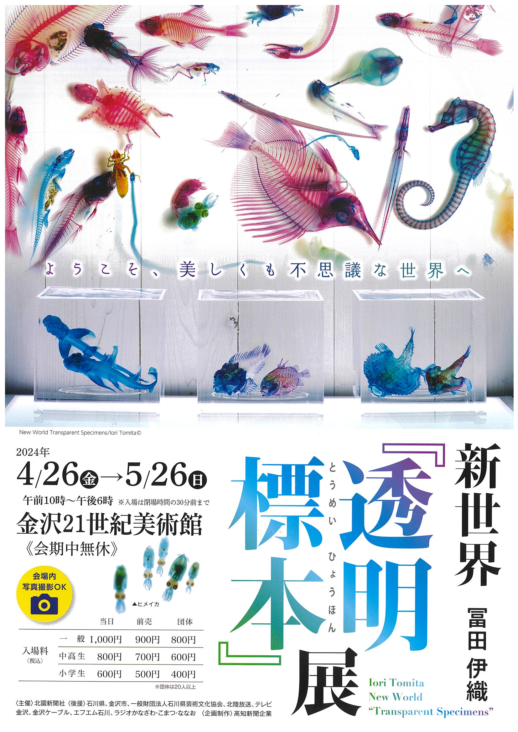 美術展・博物展・企画展】2024年04月26日冨田伊織 新世界『透明標本』展 | 金沢情報Web