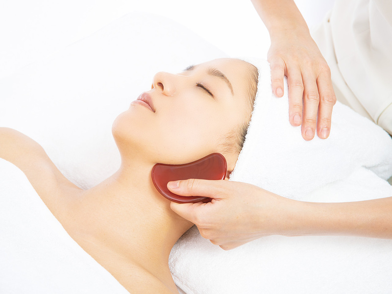 エンダモロジー フェイシャル ネック バスト用ヘッド （大ヘッド