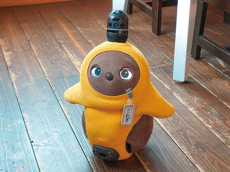 やねのうえのガチョウ