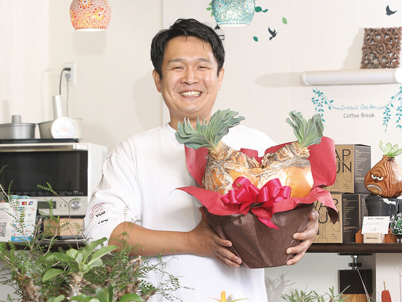 STELLA PLANTS［特集］（石川県 県庁・駅西周辺 / 生活関連サービス