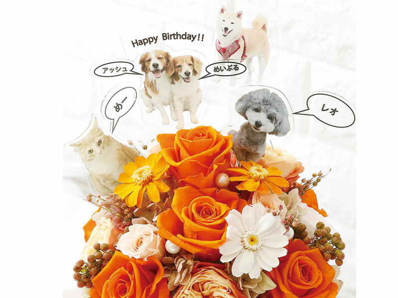 ꫛꫀꪝ✧‧「Rose」薔薇＆ピンキーリング シーグラスアート レアカラー お祝い ꫛꫀꪝ✧‧˚「Rose」薔薇＆ピンキーリング シーグラスアート 赤