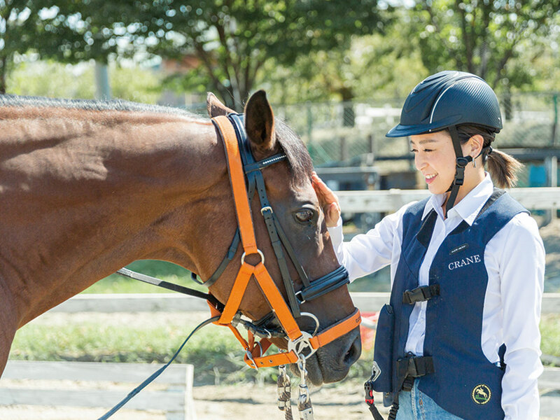 乗馬クラブクレイン ジュニア会員 土日祝日用 騎乗券5枚 乗馬クラブクレイン ジュニア会員 土日祝日用 騎乗券5枚