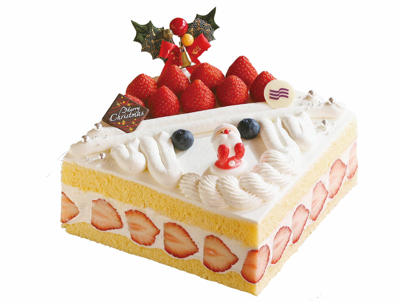 ED50 クリスマスケーキ さめほし