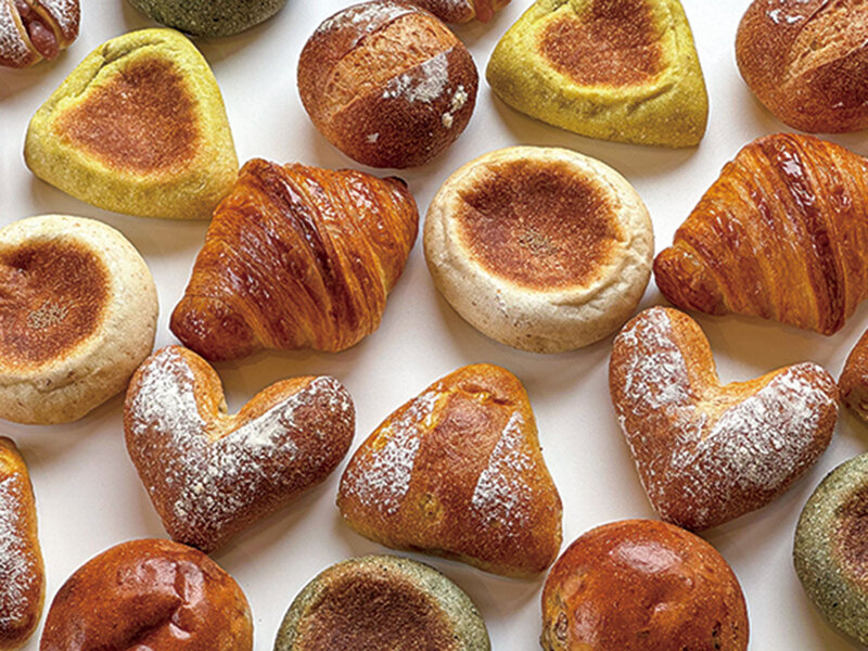 やねのうえのガチョウ