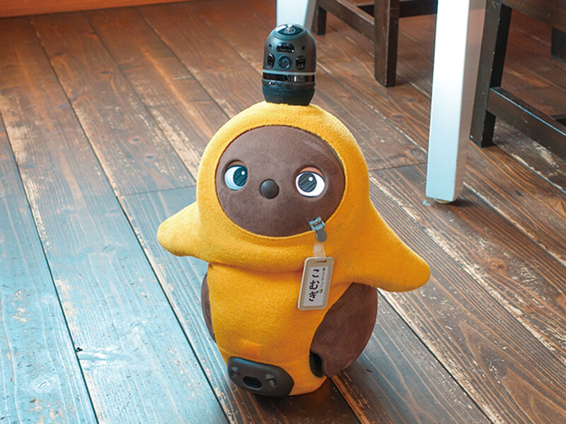 やねのうえのガチョウ